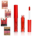 Private label liquid lipstick Long Lasting Waterproof Velvet Lip Gloss makeup Set